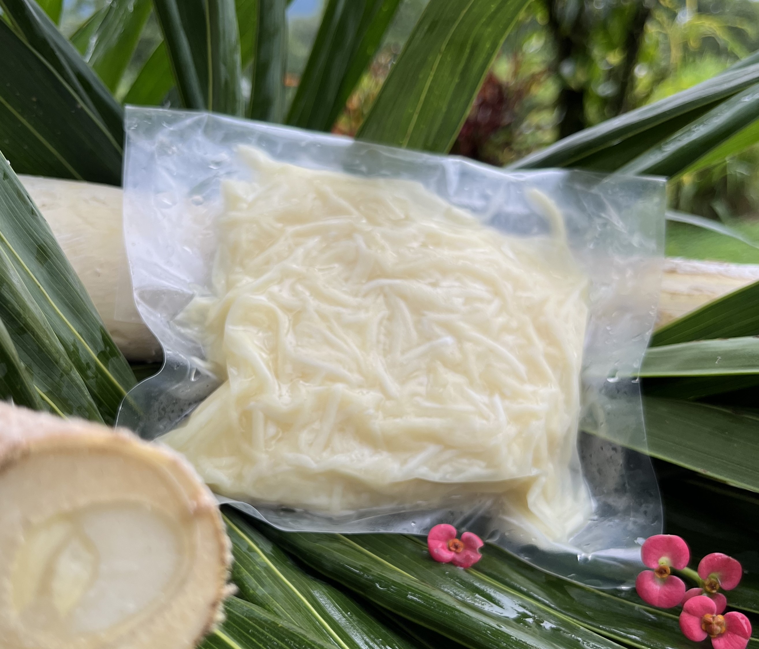 Spaghetti de Palmito